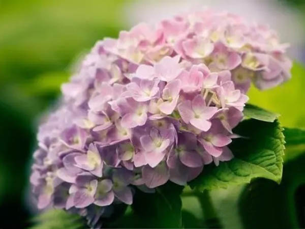 学校常用维修物资采购招标公告