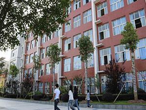 学党史  悟思想  办实事  开新局